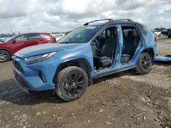 JTME6RFV5RD559366 2024 TOYOTA RAV 4