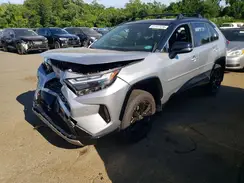 JTME6RFV5RD569184 2024 TOYOTA RAV 4
