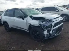 JTME6RFV5RJ060424 2024 TOYOTA RAV 4