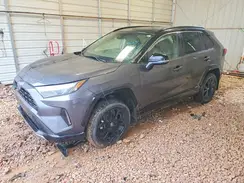 JTME6RFV6PJ034461 2023 TOYOTA RAV 4