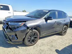 JTME6RFV6PJ036548 2023 TOYOTA RAV 4