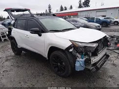 JTME6RFV6RD556864 2024 TOYOTA RAV 4