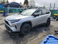 JTME6RFV6RD557027 2024 TOYOTA RAV 4