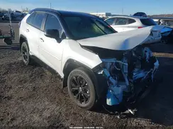 JTME6RFV6RD569727 2024 TOYOTA RAV 4