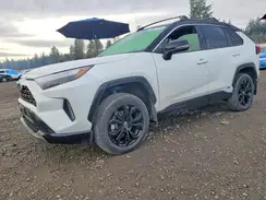 JTME6RFV7RD558087 2024 TOYOTA RAV 4