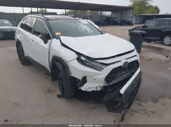 JTME6RFV7RD560969 2024 TOYOTA RAV 4