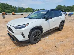 JTME6RFV7RD561670 2024 TOYOTA RAV 4