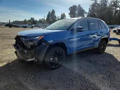 JTME6RFV7RD561975 2024 TOYOTA RAV 4