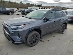 JTME6RFV7RD567288 2024 TOYOTA RAV 4