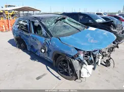 JTME6RFV7RD569140 2024 TOYOTA RAV 4