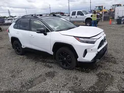 JTME6RFV7RJ050459 2024 TOYOTA RAV 4