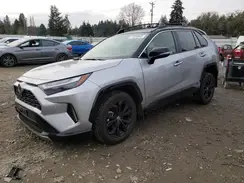 JTME6RFV8RD565291 2024 TOYOTA RAV 4