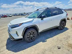 JTME6RFV8RD566294 2024 TOYOTA RAV 4