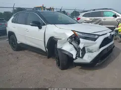 JTME6RFV8RJ057839 2024 TOYOTA RAV 4
