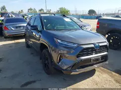 JTME6RFV9RD556549 2024 TOYOTA RAV 4