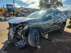 JTME6RFV9RD560911 2024 TOYOTA RAV 4