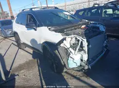 JTME6RFVXRD550825 2024 TOYOTA RAV 4