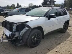 JTME6RFVXRD558200 2024 TOYOTA RAV 4