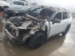 JTME6RFVXRD558763 2024 TOYOTA RAV 4