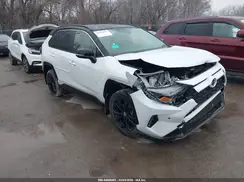 JTME6RFVXRD560724 2024 TOYOTA RAV 4