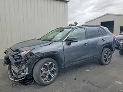 JTMEB3FV1PD125533 2023 TOYOTA RAV 4
