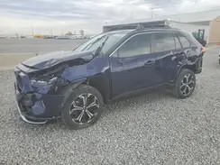 JTMEB3FV2PD159416 2023 TOYOTA RAV 4