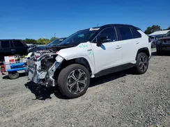 JTMEB3FV2RD232576 2024 TOYOTA RAV 4