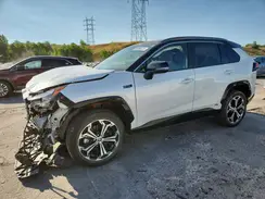 JTMEB3FV3RD209761 2024 TOYOTA RAV 4