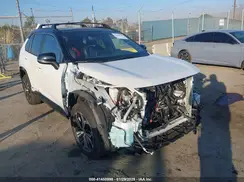 JTMEB3FV4PD150281 2023 TOYOTA RAV 4