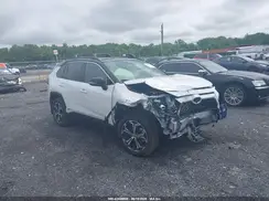 JTMEB3FV4SD237610 2025 TOYOTA RAV 4