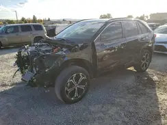 JTMEB3FV5RD174270 2024 TOYOTA RAV 4