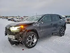 JTMEB3FV9RD217203 2024 TOYOTA RAV 4