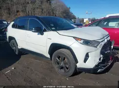 JTMEWRFV0KJ023996 2019 TOYOTA RAV 4
