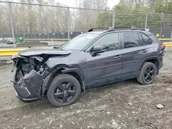 JTMEWRFV1KJ005247 2019 TOYOTA RAV 4
