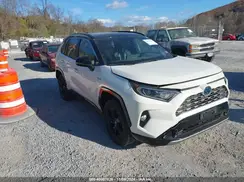 JTMEWRFV3KD509684 2019 TOYOTA RAV 4