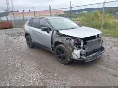 JTMEWRFV3LJ040972 2020 TOYOTA RAV 4
