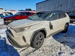 JTMEWRFV4KD509113 2019 TOYOTA RAV 4