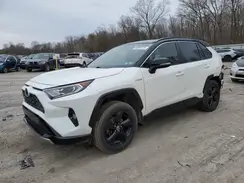 JTMEWRFV4KD521858 2019 TOYOTA RAV 4