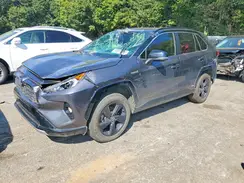 JTMEWRFV4LJ031794 2020 TOYOTA RAV 4