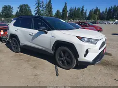 JTMEWRFV4LJ044917 2020 TOYOTA RAV 4