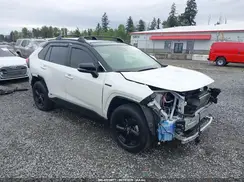 JTMEWRFV5KD515339 2019 TOYOTA RAV 4