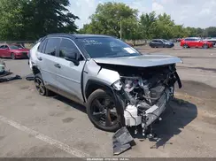 JTMEWRFV5LJ043050 2020 TOYOTA RAV 4