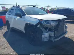 JTMEWRFV5LJ043856 2020 TOYOTA RAV 4