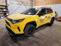 JTMEWRFV7KD510823 2019 TOYOTA RAV 4