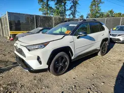 JTMEWRFV8KD518798 2019 TOYOTA RAV 4