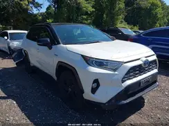 JTMEWRFV8LJ044113 2020 TOYOTA RAV 4