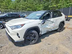 JTMEWRFV9KJ021227 2019 TOYOTA RAV 4