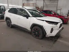 JTMF1RFV2KD034211 2019 TOYOTA RAV 4