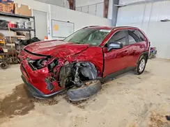 JTMF1RFV2LD066898 2020 TOYOTA RAV 4