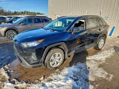 JTMF1RFV6LD064166 2020 TOYOTA RAV 4